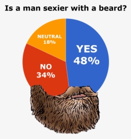 Are Beards Sexy - Sexy Pie Chart, HD Png Download, Transparent PNG