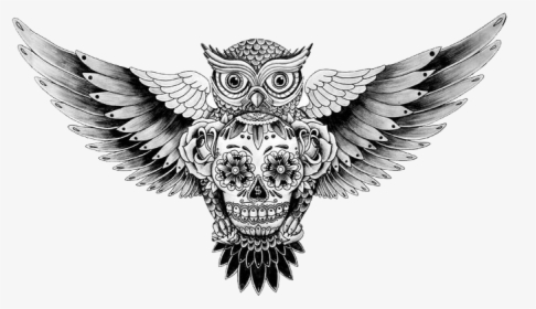 Owl Chest Tattoo Designs, HD Png Download, Transparent PNG
