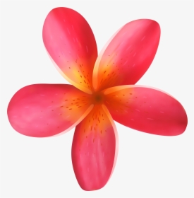 Tropical Flower Photo, HD Png Download, Transparent PNG
