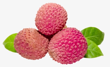Lychee Png Image - Lychee Png, Transparent Png, Transparent PNG