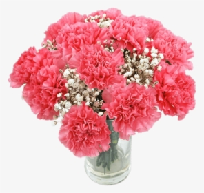 Pink Carnations - Carnation Flower Bouquet, HD Png Download, Transparent PNG