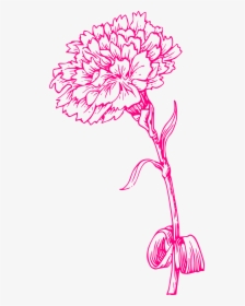 Pink Carnation Clip Art, HD Png Download, Transparent PNG