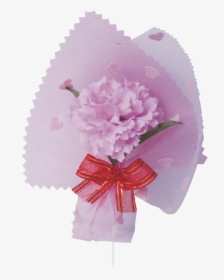 Transparent Pink Carnation Png - Carnation, Png Download, Transparent PNG