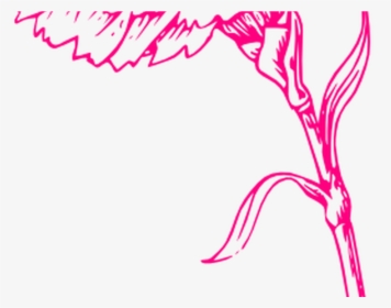 Transparent Pink Carnation Png - Marigold Clipart Black And White, Png Download, Transparent PNG