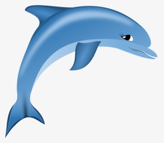 Dolphin Png Free Image Download - Dolphin Logo Png, Transparent Png, Transparent PNG