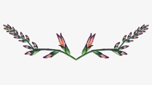 Canna Lily, HD Png Download, Transparent PNG