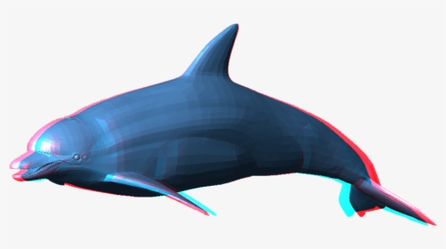 Download Dolphin Png Pic - Dolphin Png, Transparent Png, Transparent PNG