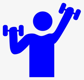 Gym, Weight Lifting, Muscle, Exercise, Fitness, Male - Working Out Clipart Png, Transparent Png, Transparent PNG