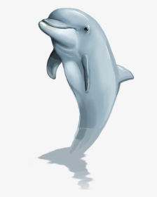 Dolphin Png Mammal Free Picture - Transparent Dolphin Jumping Png, Png Download, Transparent PNG