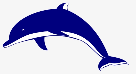 Dolphin Png - Dolphin Clipart, Transparent Png, Transparent PNG