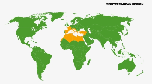 Image Result For Mediterranean Region - World Map Highlight India, HD Png Download, Transparent PNG