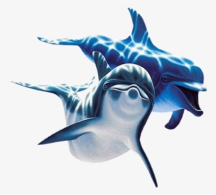 Dolphin Swimming Png Image - Dolphin Png, Transparent Png, Transparent PNG