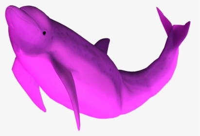 3d Dolphin Png - Pink Dolphin Png, Transparent Png, Transparent PNG