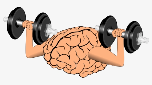 Brain Training Clipart, HD Png Download, Transparent PNG