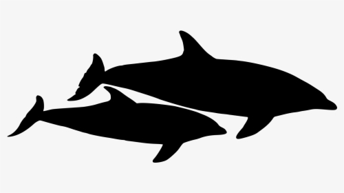 Dolphin Png - Dolphins Silhouette Png, Transparent Png, Transparent PNG