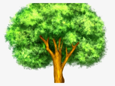 Larger Clipart Mango Tree - Plant Response To Climate Change, HD Png Download, Transparent PNG