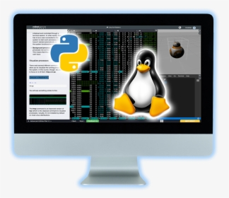 Get Python & Linux Ready - Adã©lie Penguin, HD Png Download, Transparent PNG