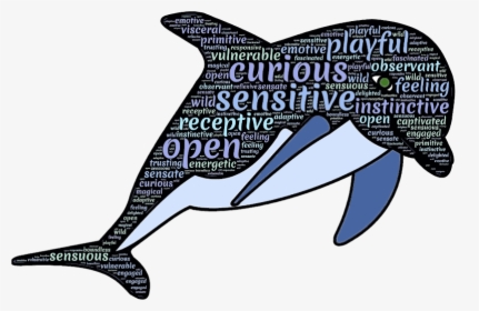Dolphines Clipart Dolphin Word - Dolphin Wise, HD Png Download, Transparent PNG