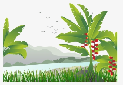 Banana Leaf Tree Illustration - Banana Tree Vector Png, Transparent Png, Transparent PNG