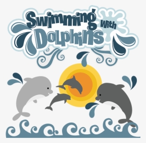 Swimming With Dolphins Svg Dolphin Svg File Dolphin - Swim With Dolphins Gift Voucher, HD Png Download, Transparent PNG