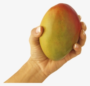 Mango In Hand Png Image - If Your Boyfriend Isn T Treating You Right Let That, Transparent Png, Transparent PNG