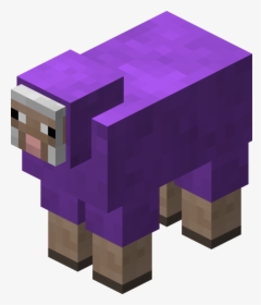Purple Sheep Revision - Minecraft Sheep, HD Png Download, Transparent PNG
