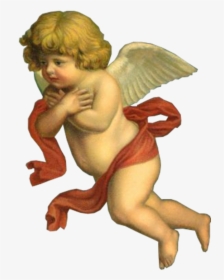 Image Result For Transparent Angels Cherubs - Cherub Angel Png, Png Download, Transparent PNG