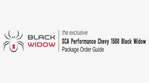 Black Widow Logo Sca - Rajshree Sugars, HD Png Download, Transparent PNG