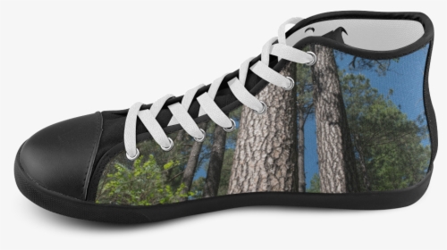 Tall Pine Trees Mt Lemmon Arizona High Top Canvas Kid - Outdoor Shoe, HD Png Download, Transparent PNG