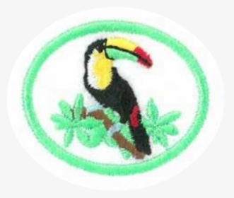 Rainforest Pathfinder Honor, HD Png Download, Transparent PNG