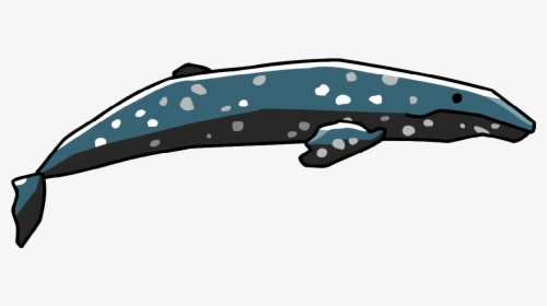 Cetacea Png Image - Gray Whale, Transparent Png, Transparent PNG