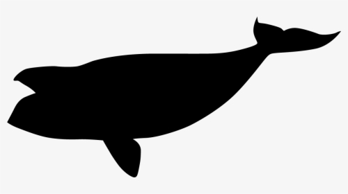 North Pacific Right Whale Black Silhouette - Right Whale Silhouette, HD Png Download, Transparent PNG