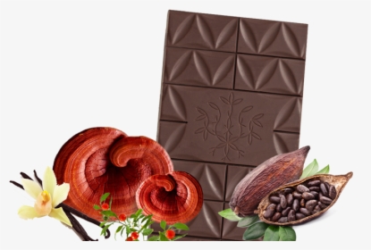 Mandala Tree Chocolate Ingredients - Chocolate, HD Png Download, Transparent PNG