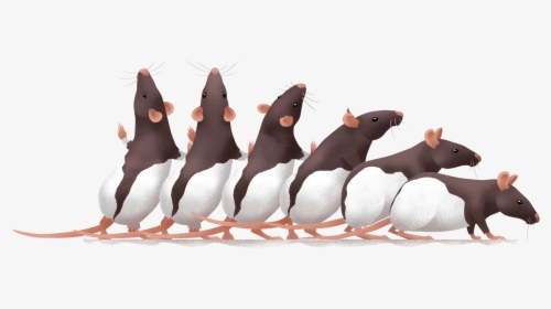 Beckmanuci - Pest, HD Png Download, Transparent PNG