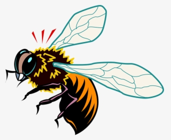 Honey Bee Vector, HD Png Download, Transparent PNG