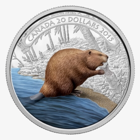 Beaver Of Canada, HD Png Download, Transparent PNG
