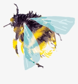 Transparent Bumble Bees Watercolor, HD Png Download, Transparent PNG
