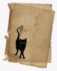Black Cat , Png Download - Diary, Transparent Png, Transparent PNG