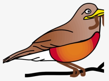 Transparent Trinidad Flag Png - Robins Birds Transparent Background, Png Download, Transparent PNG