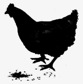 Rooster Chicken As Food Fauna Silhouette - Chicken, HD Png Download, Transparent PNG