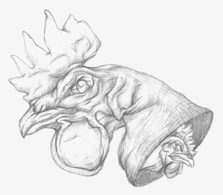 Chicken Head Bw - Sketch, HD Png Download, Transparent PNG