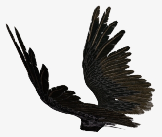 Drawn Angel Torn Wing Source - Black Wings Png Side, Transparent Png, Transparent PNG