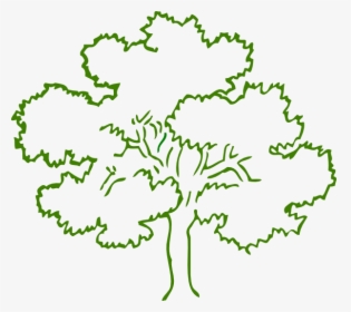 Draw A Chestnut Tree, HD Png Download, Transparent PNG