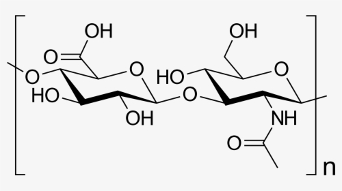 Hyaluronic Acid Structure, HD Png Download, Transparent PNG