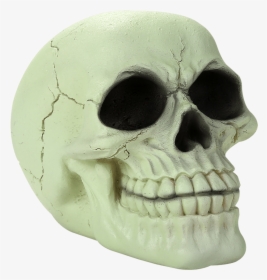 Glow In The Dark Skull, HD Png Download, Transparent PNG