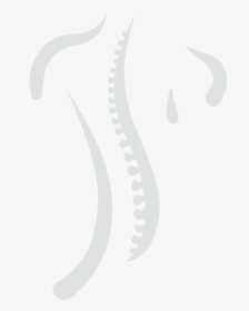 Spine Graphic - Chiropractic Spine Logo, HD Png Download, Transparent PNG