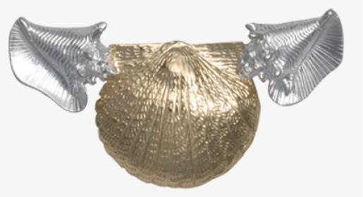 Conch Shell Png, Transparent Png, Transparent PNG