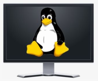 Linus Does Linux Computers, HD Png Download, Transparent PNG