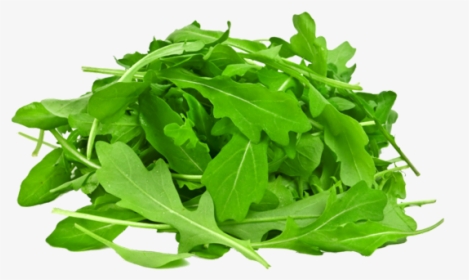 Arugula With White Background, HD Png Download, Transparent PNG