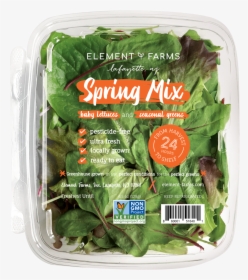 2019 08 15 Products Individual Springmix - Spinach, HD Png Download, Transparent PNG